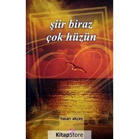 ŞİİR BIRAZ ÇOK HÜZÜN - HASAN AKÇAY
