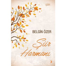 Şiir Harmanı - Belgin Özer