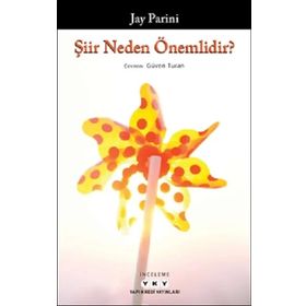 Şiir Neden Önemlidir? - Jay Parini