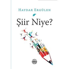 Şiir Niye? - Haydar Ergülen
