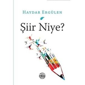 Şiir Niye? - Haydar Ergülen