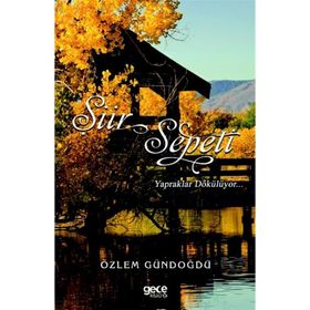 Şiir Sepeti 3 - Özlem Gündoğdu