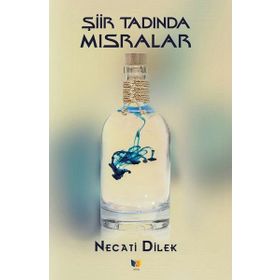 Şiir Tadında Masallar - Necati Dilek