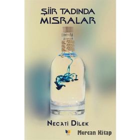 Şiir Tadında Mısralar - Necati Dilek