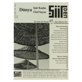 Şiirden Dergisi Sayı: 17 - Kolektif