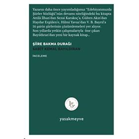 Şiire Bakma Durağı - Sabit Kemal Bayıldıran