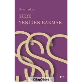 Şiire Yeniden Bakmak - Hasan Akay