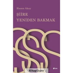 Şiire Yeniden Bakmak - Hasan Akay