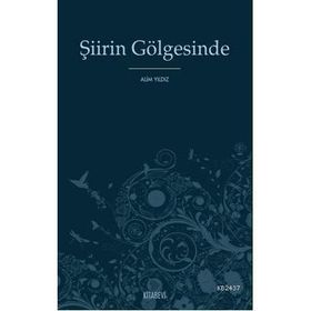 ŞİİRİN GÖLGESİNDE - ALIM YILDIZ