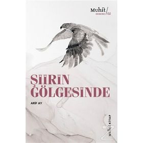 ŞİİRİN GÖLGESİNDE - ALIM YILDIZ