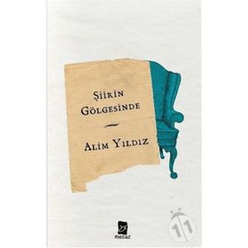 ŞİİRİN GÖLGESİNDE - ALIM YILDIZ