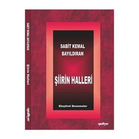 Şiirin Halleri - Sabit Kemal Bayıldıran