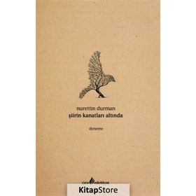 Şiirin Kanatları Altında - Nurettin Durman