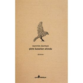 Şiirin Kanatları Altında - Nurettin Durman