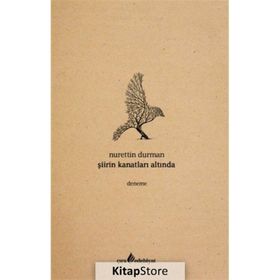 Şiirin Kanatları Altında - Nurettin Durman
