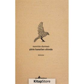 Şiirin Kanatları Altında - Nurettin Durman