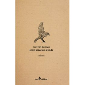 Şiirin Kanatları Altında - Nurettin Durman