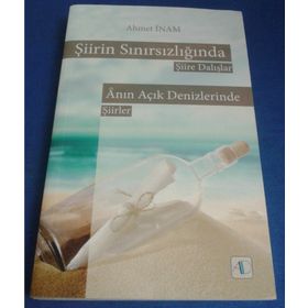 Şiirin Sınırsızlığında Şiire Dalışlar - Ahmet İnam