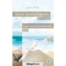 Şiirin Sınırsızlığında Şiire Dalışlar - Ahmet İnam