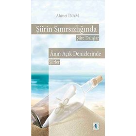 Şiirin Sınırsızlığında Şiire Dalışlar - Ahmet İnam