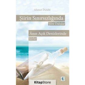 Şiirin Sınırsızlığında Şiire Dalışlar - Ahmet İnam