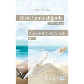 Şiirin Sınırsızlığında Şiire Dalışlar - Ahmet İnam
