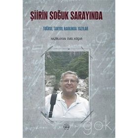 Şiirin Soğuk Sarayında - Mühür Kitaplığı