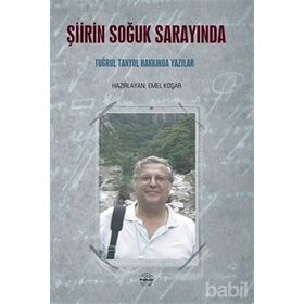 Şiirin Soğuk Sarayında - Mühür Kitaplığı