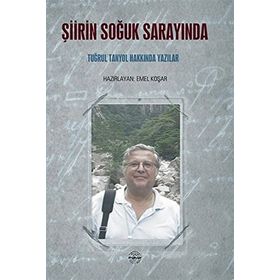 Şiirin Soğuk Sarayında - Mühür Kitaplığı