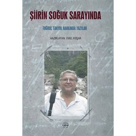 Şiirin Soğuk Sarayında - Mühür Kitaplığı