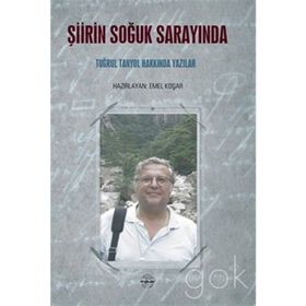 Şiirin Soğuk Sarayında - Mühür Kitaplığı