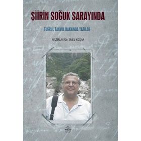 Şiirin Soğuk Sarayında - Mühür Kitaplığı