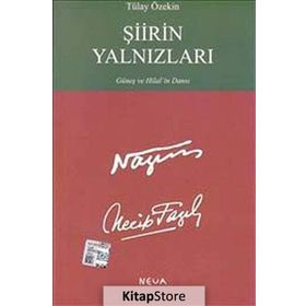 Şiirin Yalnızları - Tülay Özekin