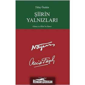 Şiirin Yalnızları - Tülay Özekin