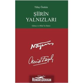 Şiirin Yalnızları - Tülay Özekin