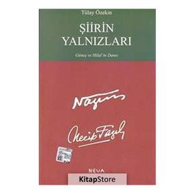 Şiirin Yalnızları - Tülay Özekin