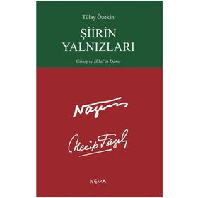 Şiirin Yalnızları - Tülay Özekin