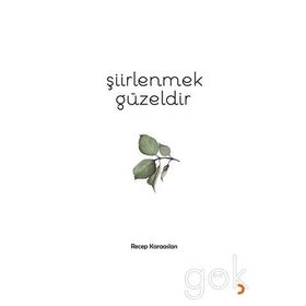 Şiirlenmek Güzeldir - Recep Karaaslan