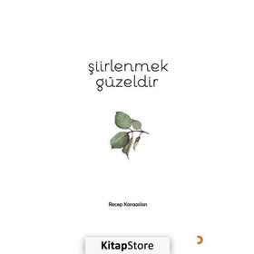 Şiirlenmek Güzeldir - Recep Karaaslan