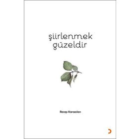 Şiirlenmek Güzeldir - Recep Karaaslan