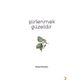 Şiirlenmek Güzeldir - Recep Karaaslan