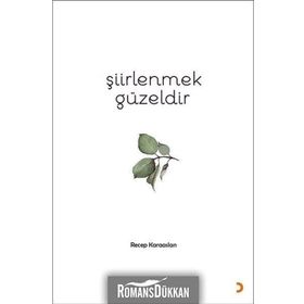 Şiirlenmek Güzeldir - Recep Karaaslan