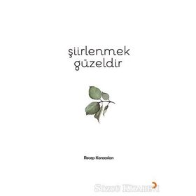 Şiirlenmek Güzeldir - Recep Karaaslan