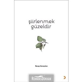 Şiirlenmek Güzeldir - Recep Karaaslan