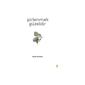 Şiirlenmek Güzeldir - Recep Karaaslan