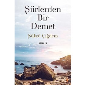 Şiirlerden Bir Demet - Şükrü Çiğdem