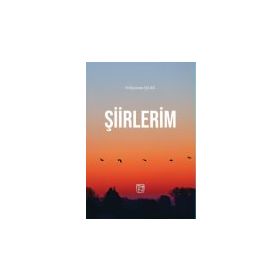 Şiirlerim - Süleyman Işlak