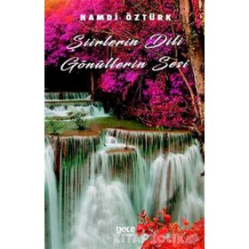 Şiirlerin Dili Gönüllerin Sesi - Hamdi Öztürk
