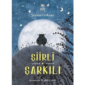 Şiirli Şarkılı - Şeyma Göksay