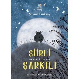 Şiirli Şarkılı - Şeyma Göksay